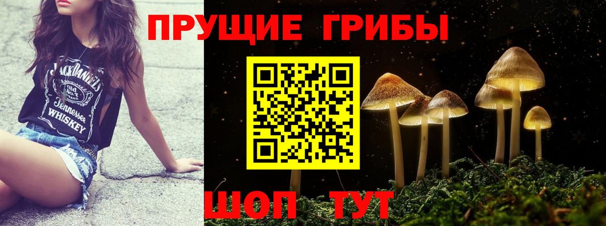 Великий Устюг  где купить   Вход с VPN  Псилоцибиновые грибы Magic Shrooms 